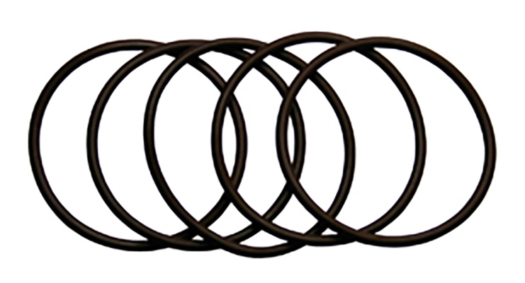 Sampler Cone O-ring (PKT 5)